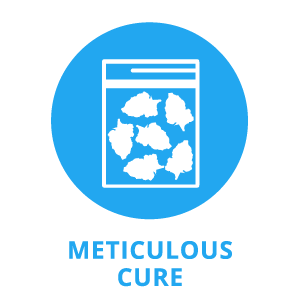 Meticulous Cure